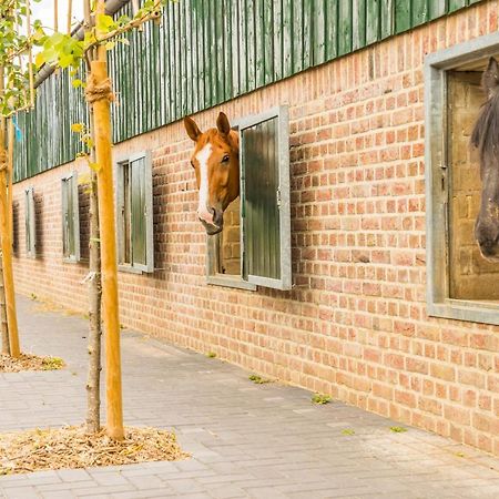 Valkenhof Schimmert ภายนอก รูปภาพ